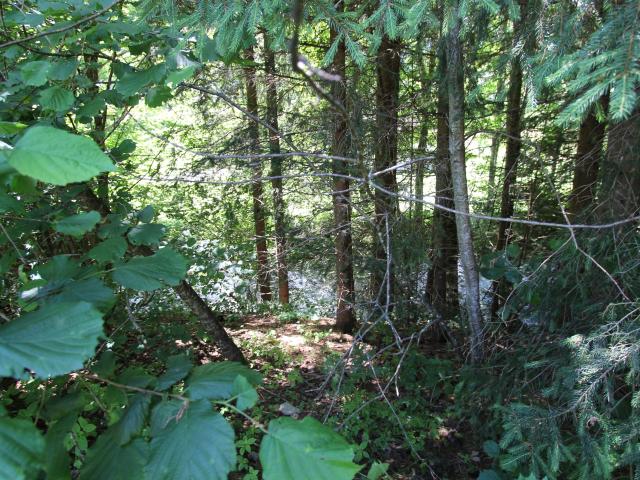 Directe omgeving (<1 km)