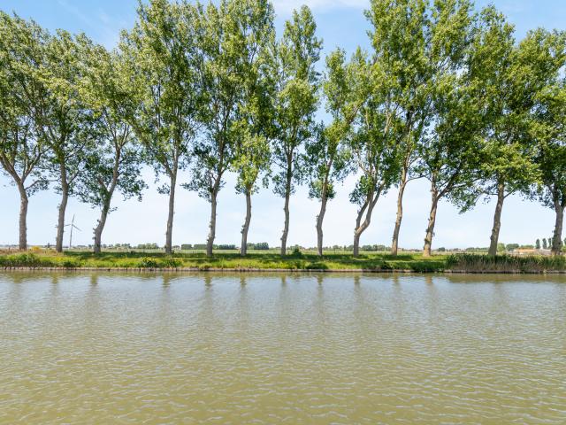 Directe omgeving (<1 km)