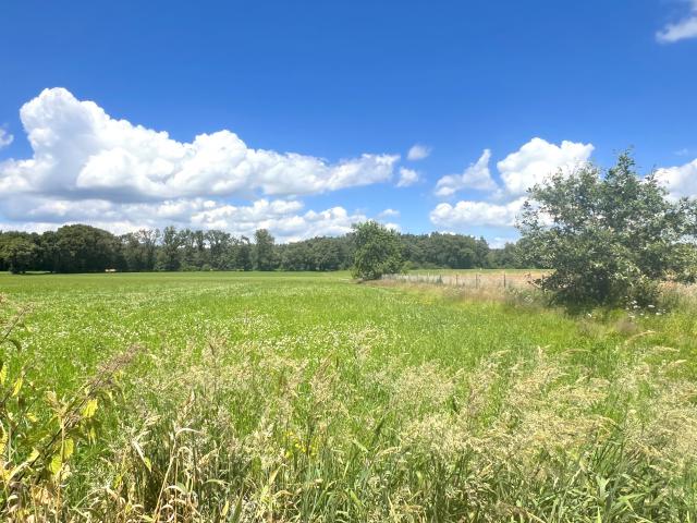 Uitzicht van vakantiehuis [zomer]