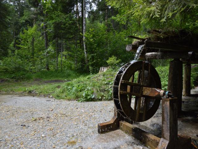 Direkte Umgebung [Sommer] (<1 km)