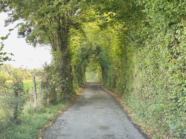 Umgebung [Sommer] (1-5 km)