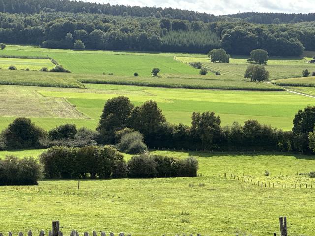 In der Region [Sommer] (>5 km)