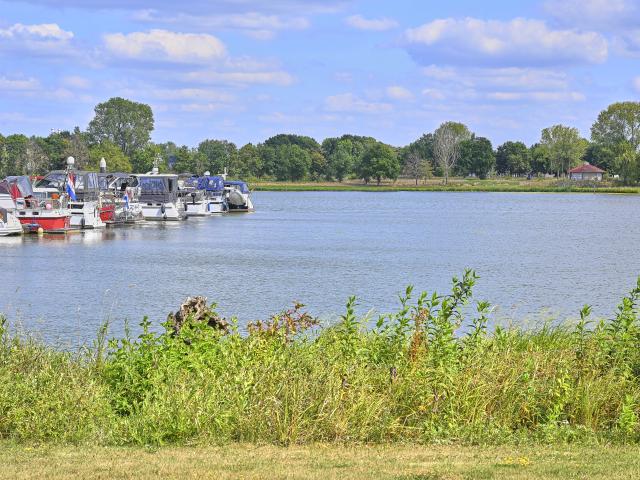 Aussicht vom Ferienhaus [Sommer]