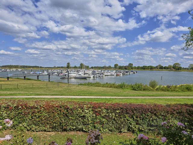 Aussicht vom Ferienhaus [Sommer]