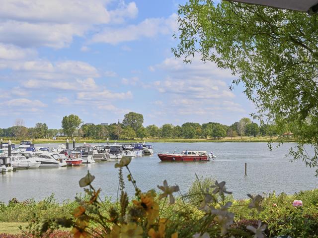 Aussicht vom Ferienhaus [Sommer]