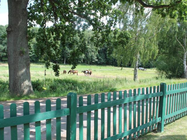 Aussicht vom Ferienhaus [Sommer]