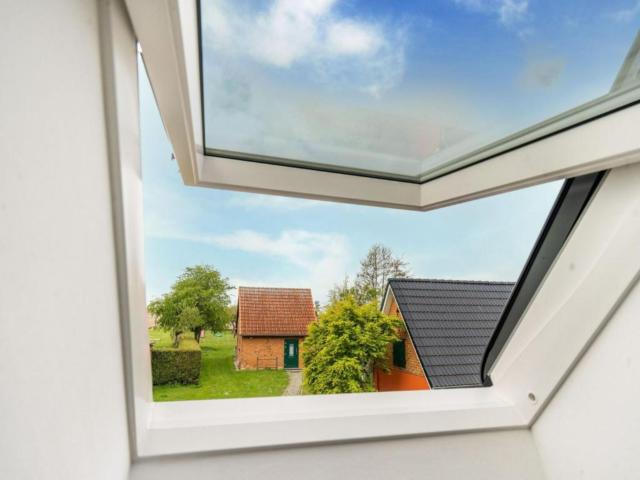 Aussicht vom Ferienhaus [Sommer]