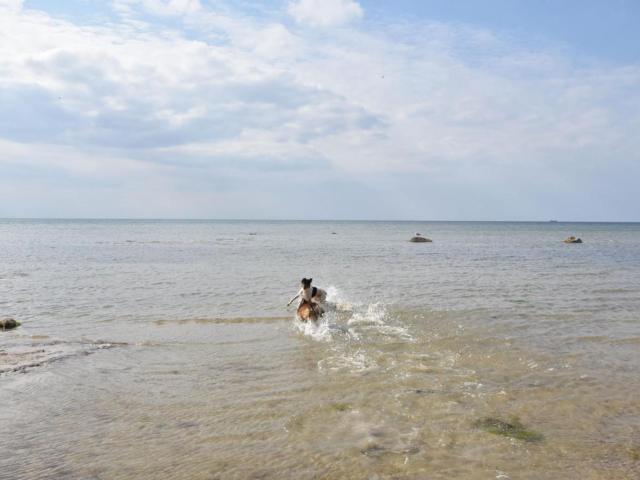 Direkte Umgebung [Sommer] (<1 km)