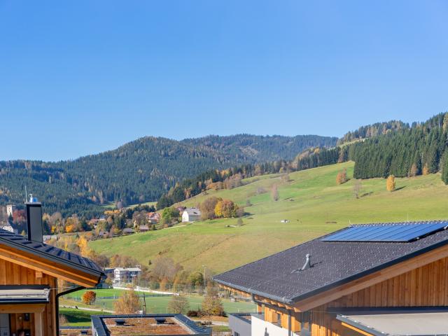 Aussicht vom Ferienhaus [Sommer]