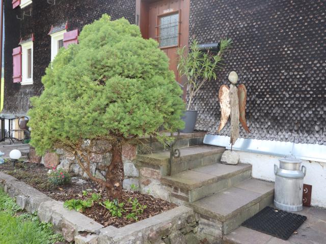 Entrance / Reception