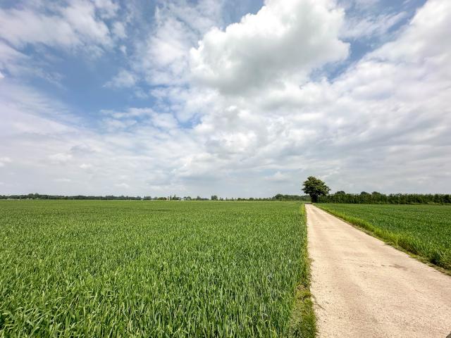 Direkte Umgebung [Sommer] (<1 km)