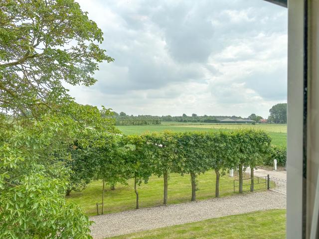 Aussicht vom Ferienhaus [Sommer]