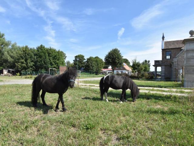 Aussicht vom Ferienhaus [Sommer]
