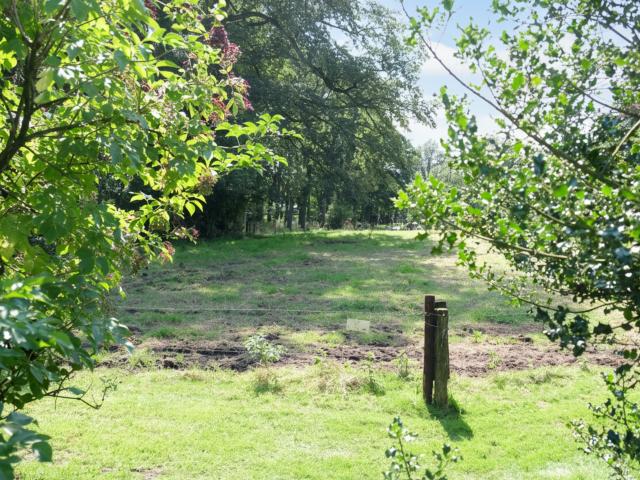 Direkte Umgebung [Sommer] (<1 km)