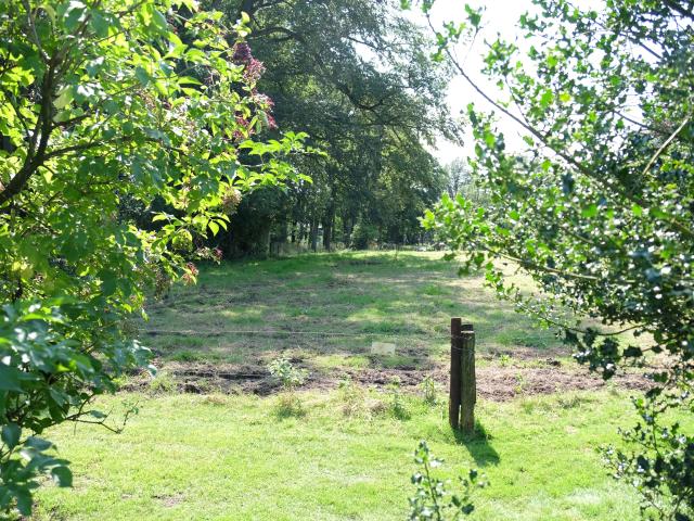 Aussicht vom Ferienhaus [Sommer]