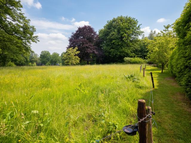 Direkte Umgebung [Sommer] (<1 km)