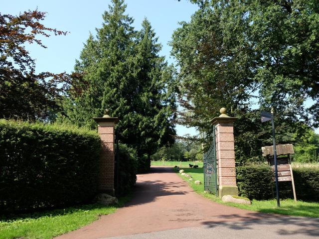 Direkte Umgebung [Sommer] (<1 km)