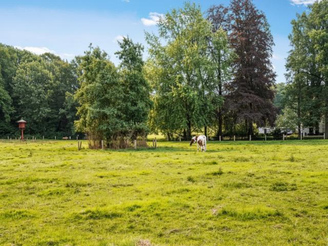 Direkte Umgebung [Sommer] (<1 km)