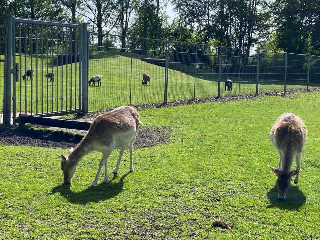 Equipement et services parc de vacances