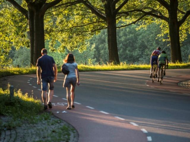 Umgebung [Sommer] (1-5 km)