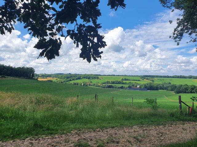 Direkte Umgebung [Sommer] (<1 km)