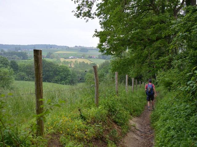 Umgebung [Sommer] (1-5 km)