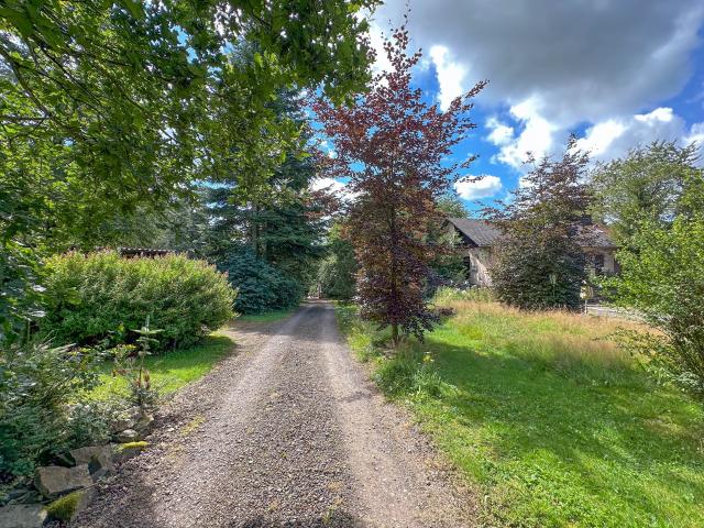 Immediate Surroundings (<1 km)