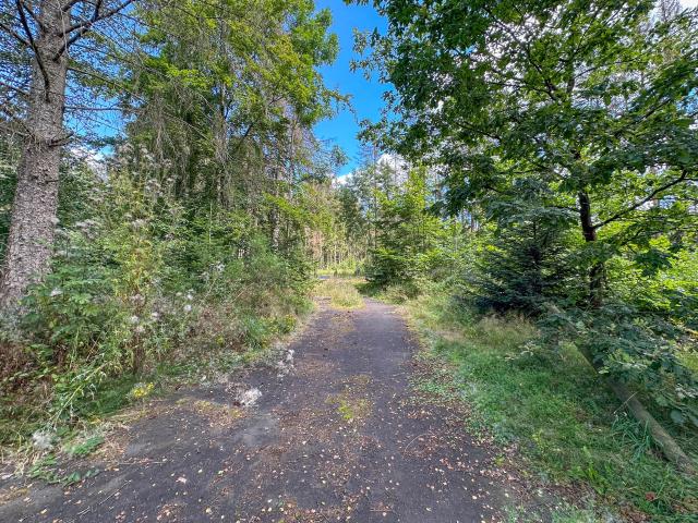 Immediate Surroundings (<1 km)