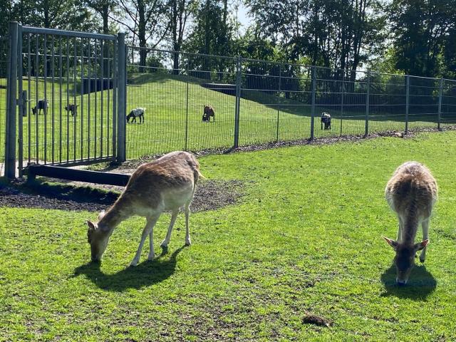 Ausstattung und Service des Ferienparks