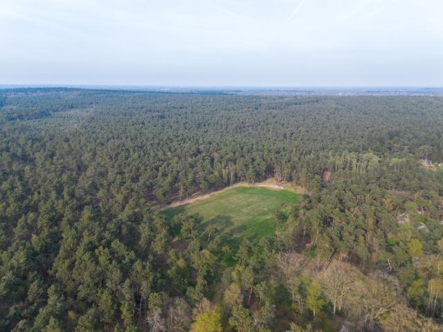 In der Region (>5 km)