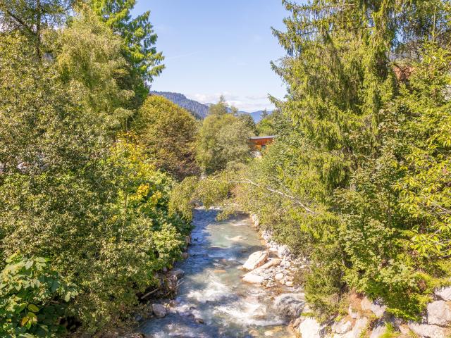 Immediate Surroundings (<1 km)