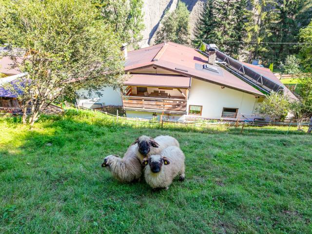 Immediate Surroundings (<1 km)