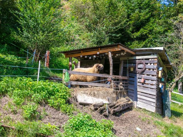 Immediate Surroundings (<1 km)