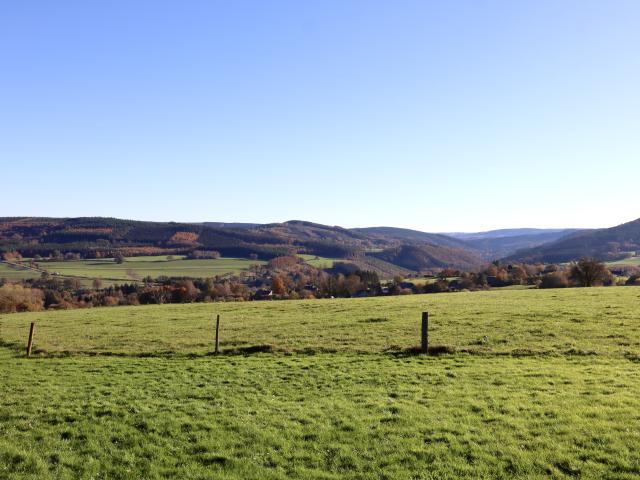 Immediate Surroundings (<1 km)