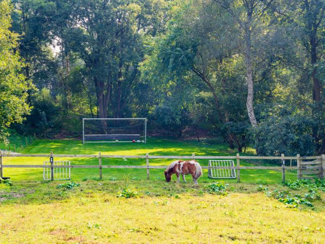 Ausstattung und Service des Ferienhauses