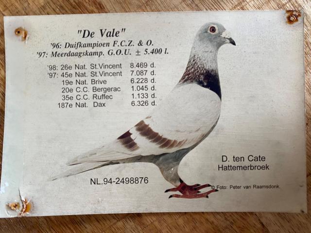 Ambiente / Nahaufnahme