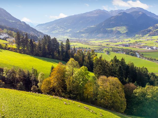 A proximité directe (<1 km)