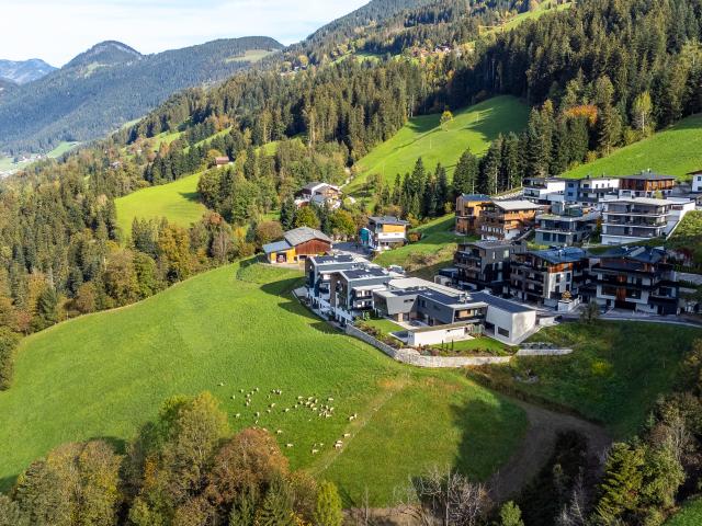 A proximité directe (<1 km)