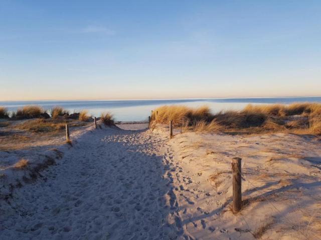 In der Region (>5 km)