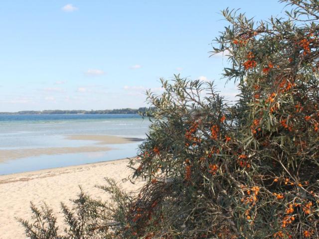 In der Region (>5 km)