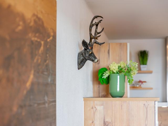 Ambiance / plan rapproché