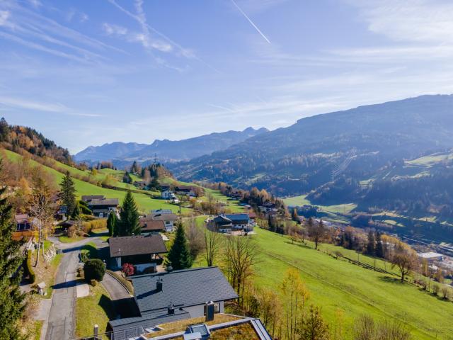 Directe omgeving [zomer] (<1 km)