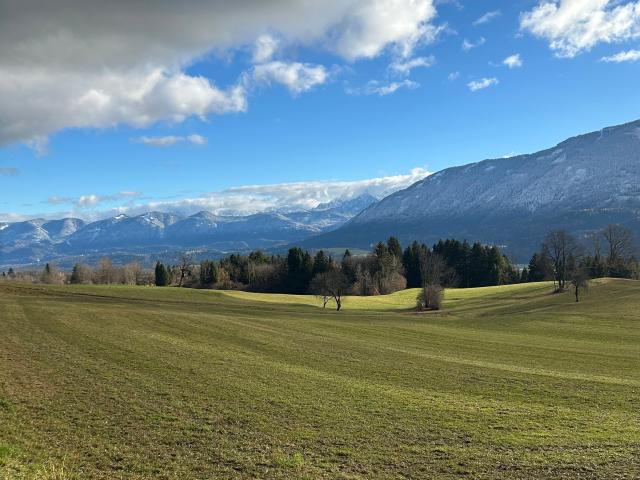 In der Region (>5 km)
