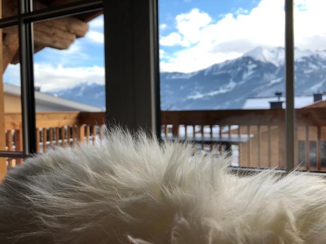 Ambiente / Nahaufnahme