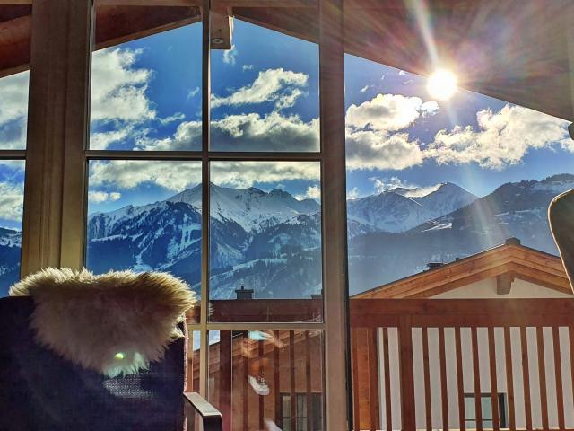 Ambiente / Nahaufnahme