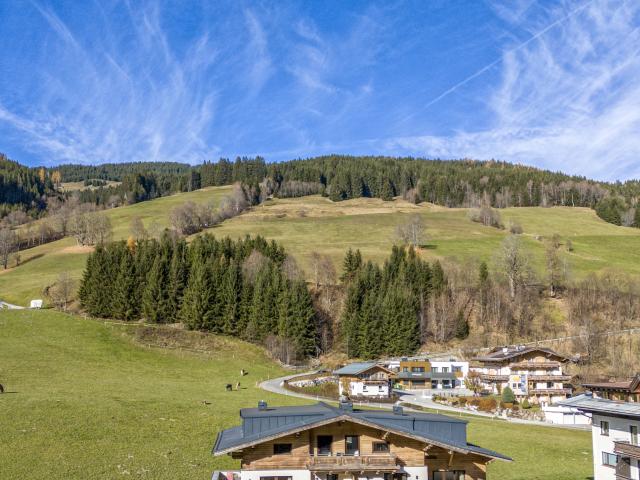 Außenseite Ferienhaus [Sommer]