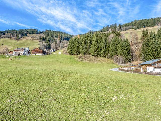 Direkte Umgebung [Sommer] (<1 km)