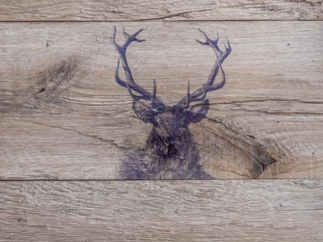 Ambiente / Nahaufnahme