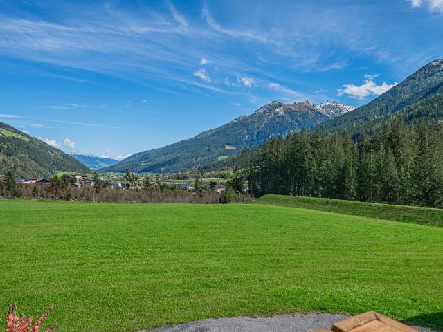 Aussicht vom Ferienhaus [Sommer]