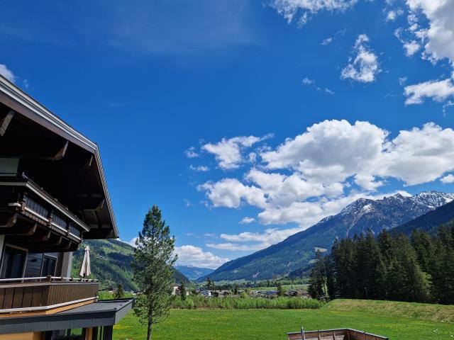 Aussicht vom Ferienhaus [Sommer]